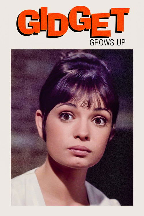 Gidget Grows Up Poster