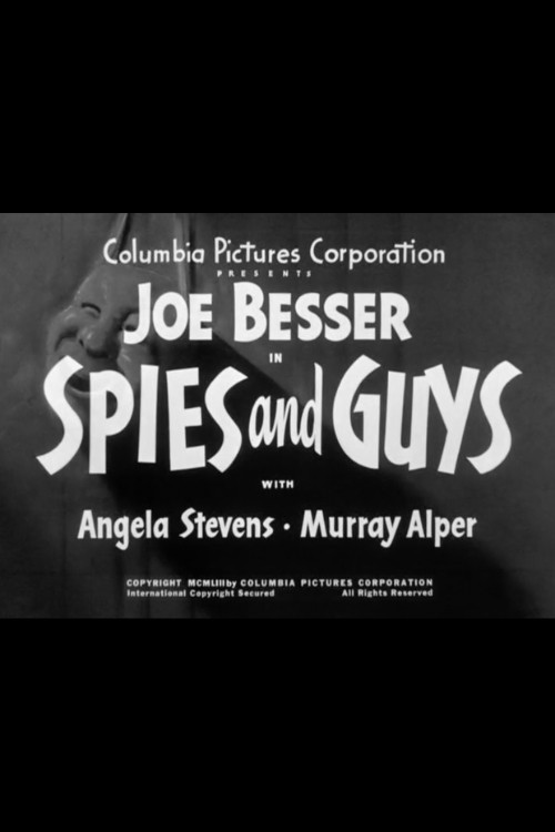 Spies and Guys Poster