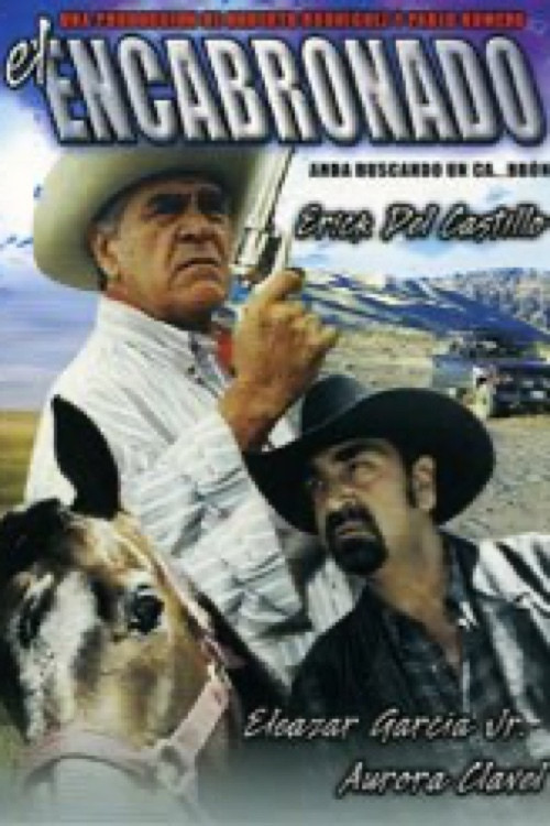 El encabronado Poster