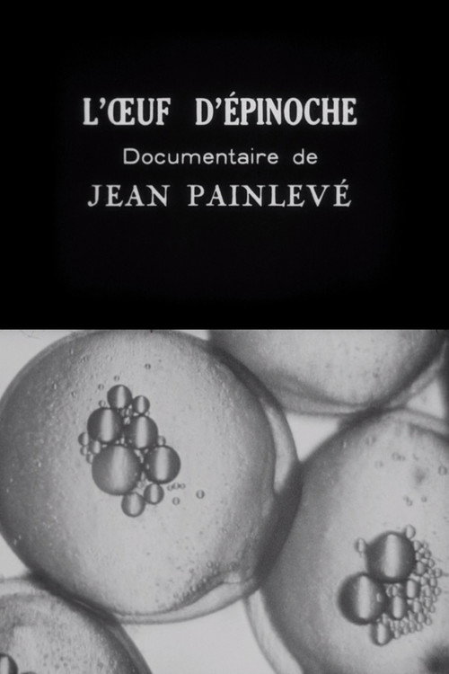 The Stickleback's Eggs Poster