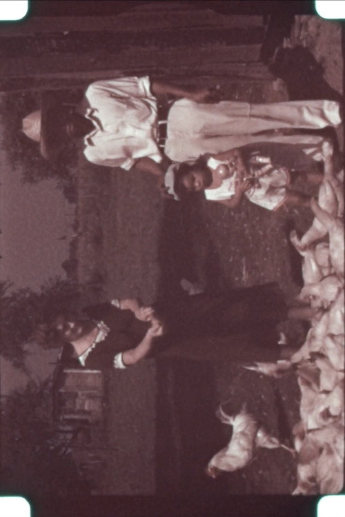 The Little Farmers of Reynoldsburg, Ohio Poster