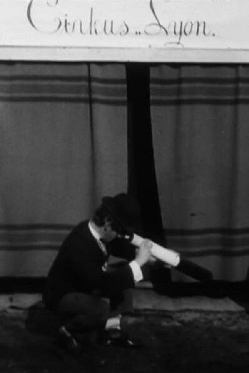 Boston and the Telescope Poster