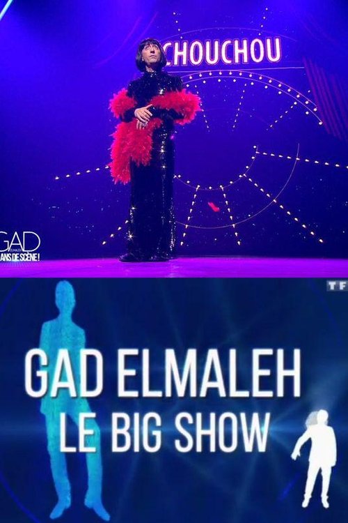Gad Elmaleh - Le Big Show Poster