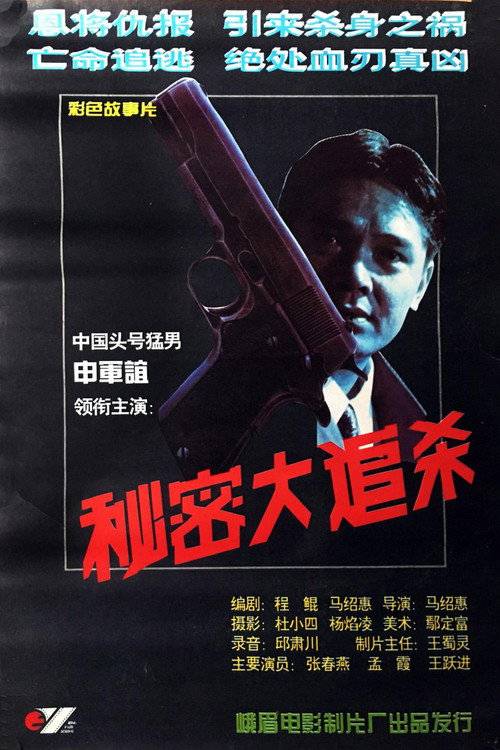 秘密大追杀 Poster