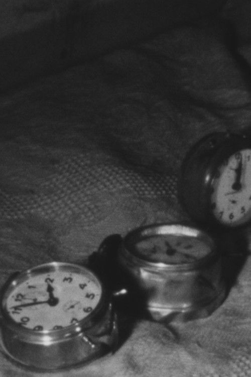 The Time in the Wall Poster