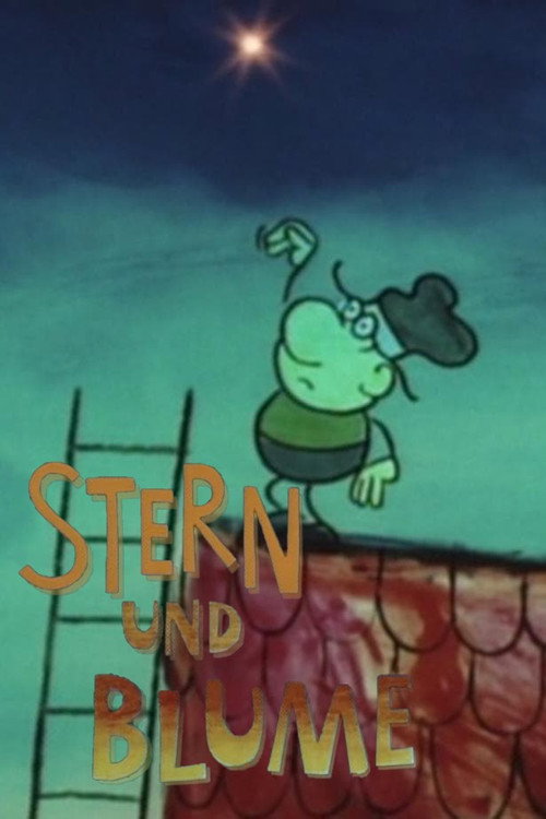 Star and Flower Poster