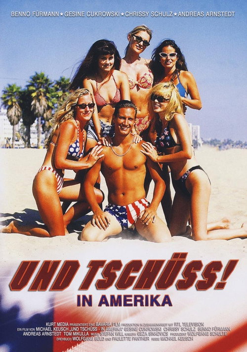 Und tschüss! In Amerika Poster