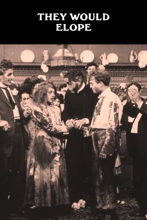 They Would Elope Poster