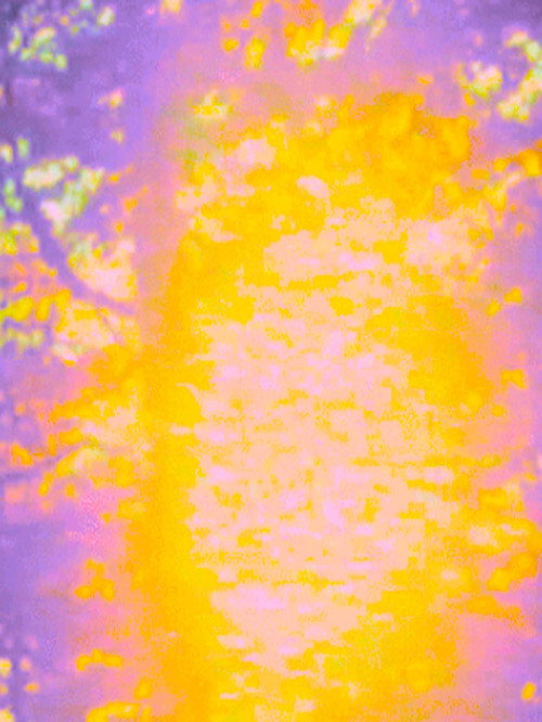 Waking a Dream Poster