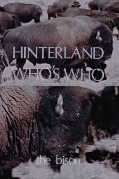Hinterland Who's Who: The Bison Poster