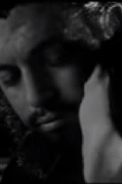 Meeting Che Guevara & the Man from Maybury Hill Poster