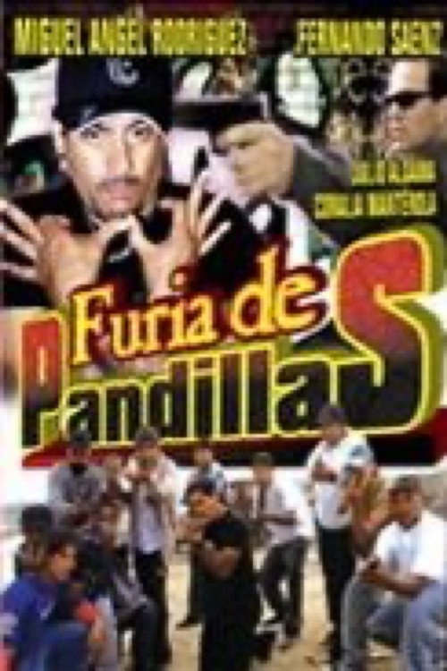 Furia de pandilleros Poster
