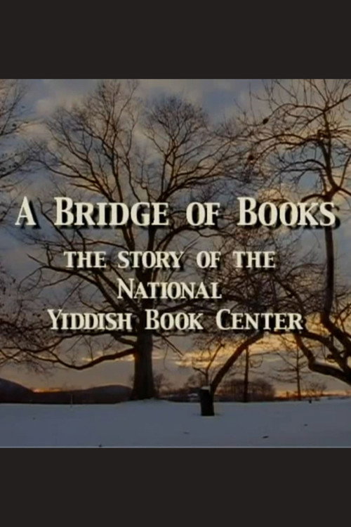 A Bridge of Books Poster