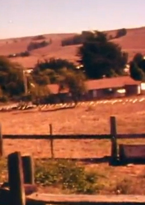 Christo Running Fence Reels: Don’t Squeeze The Fence Poster