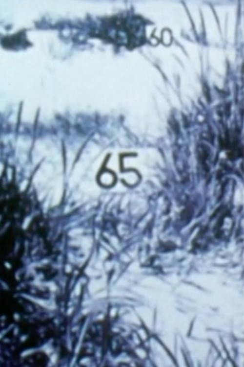 Étude transectale de la plage Poster