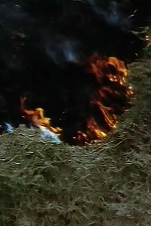 Echo Vocis Imago Poster