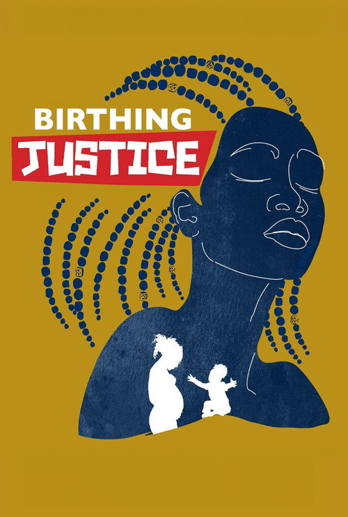 Birthing Justice Poster