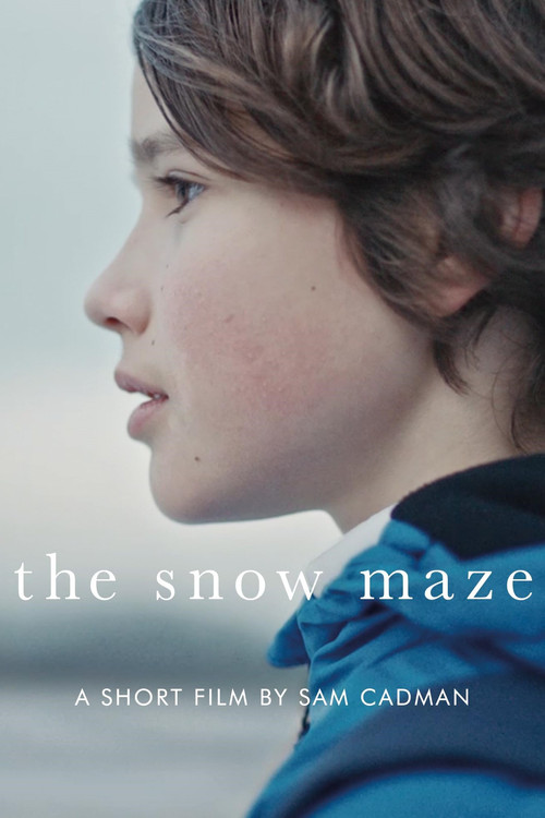 The Snow Maze Poster