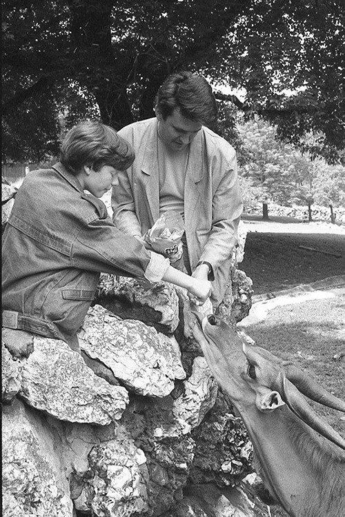 Sunday 9 to 5 Poster