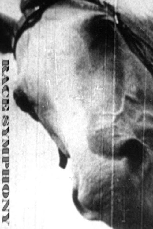 Race Symphony Poster