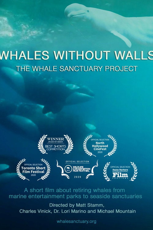 Whales Without Walls Poster