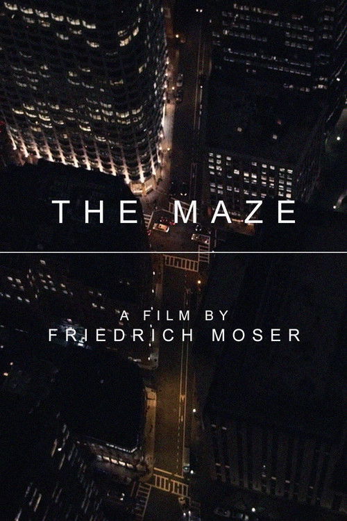 The Maze Poster