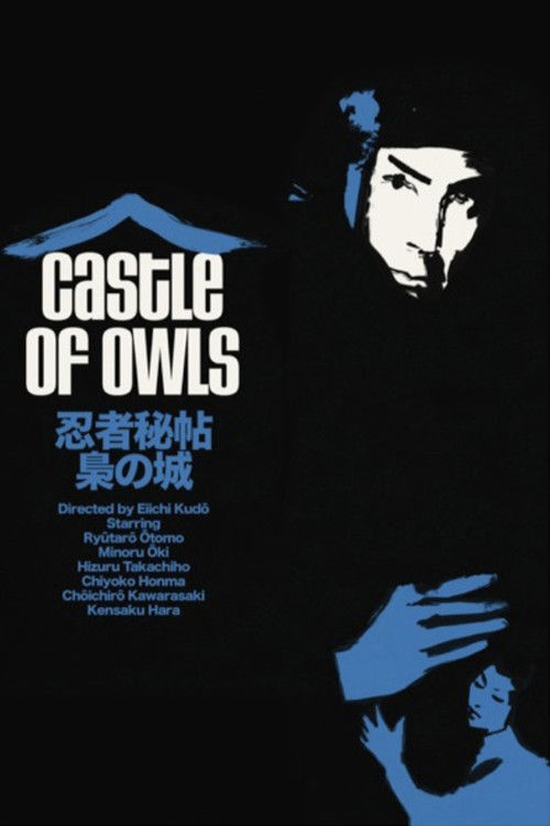 Castle of Owls Poster