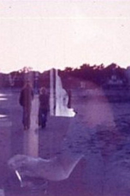 Superimposition Poster