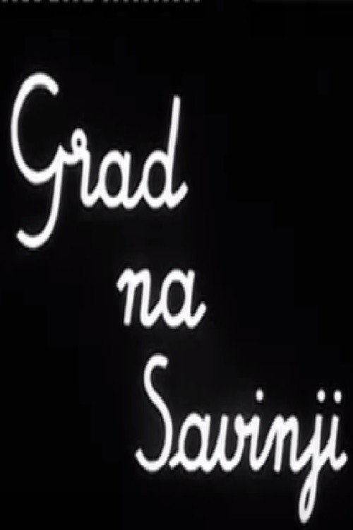 The Town by the Savinja River Poster