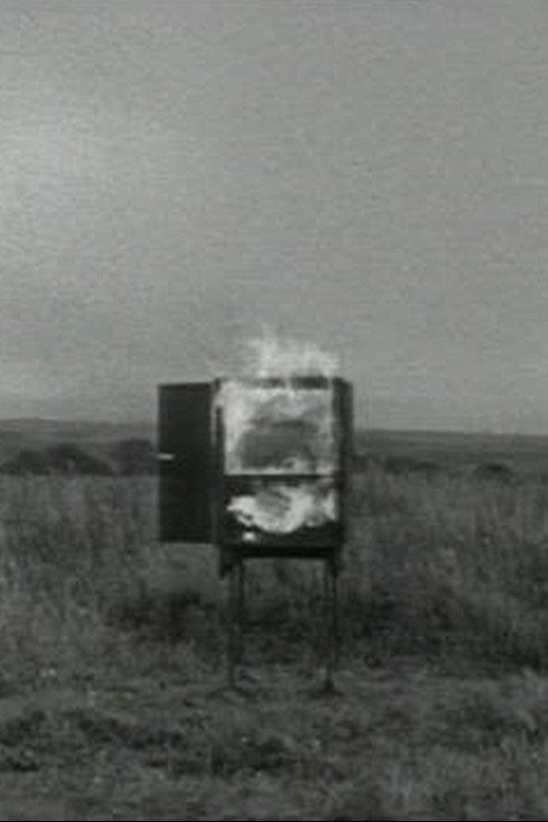 TV Interruptions: Burning TV Poster