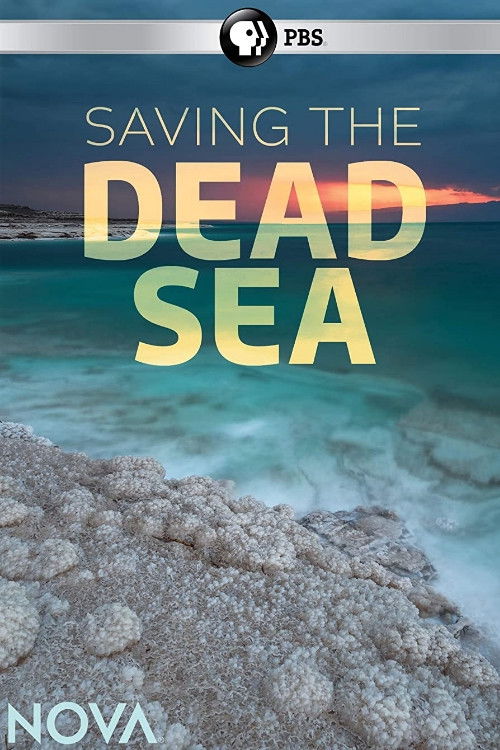 Saving the Dead Sea Poster