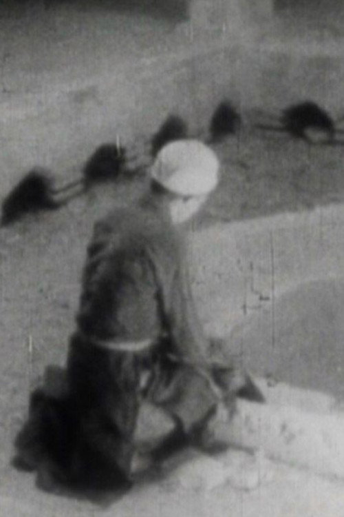 From Isfahan to Abarkooh Poster