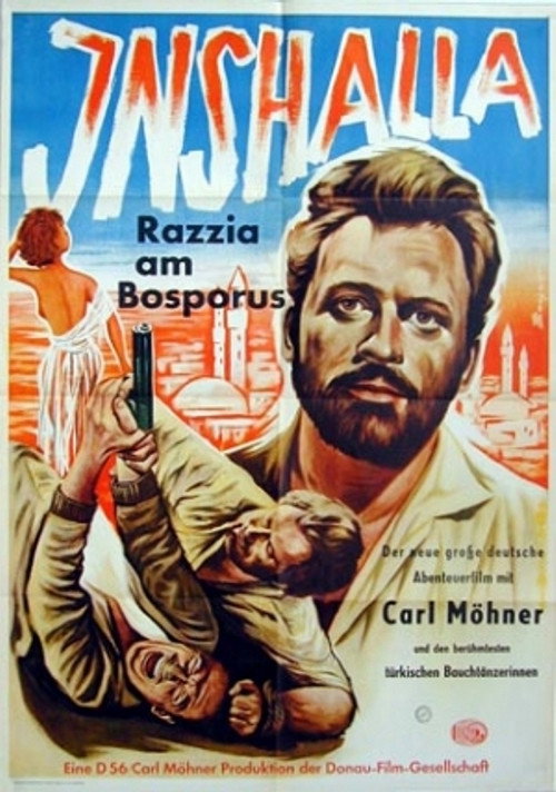 Inshalla – Razzia am Bosporus Poster