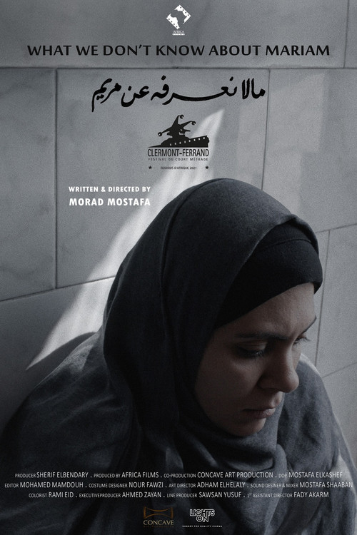 What We Don't Know About Mariam Poster