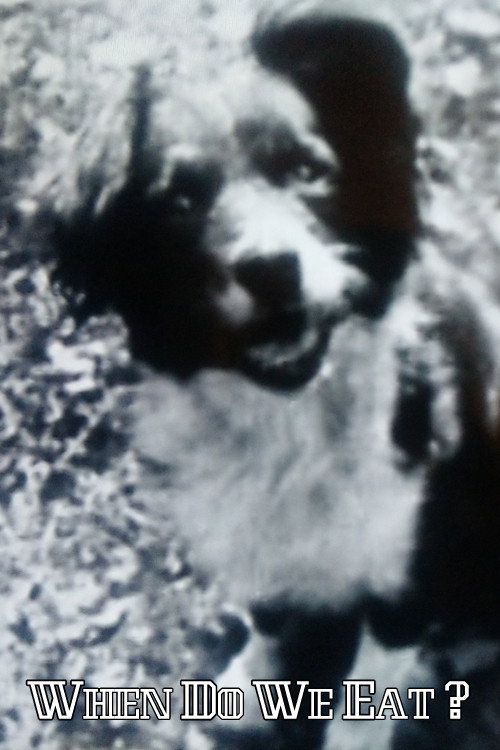 When Do We Eat? Poster