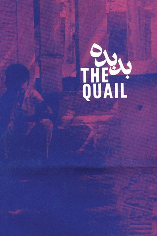 The Quail: The Tale of a Boy Who Asks Poster