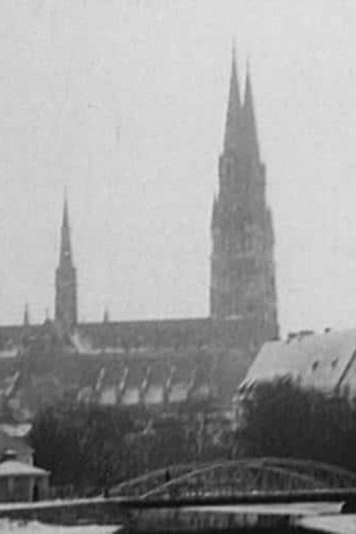 Winter Pictures from Uppsala Poster