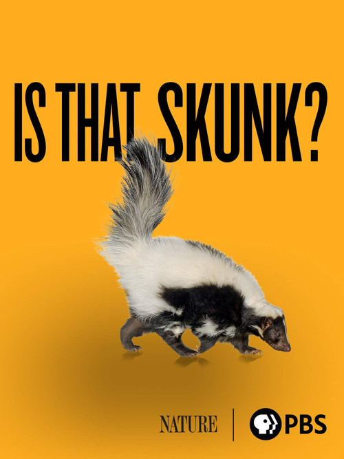 Is That Skunk? Poster