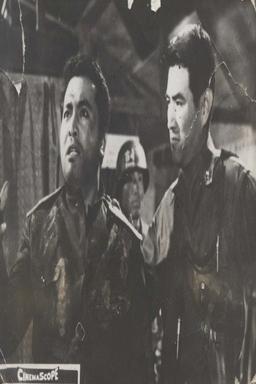 North and South Poster