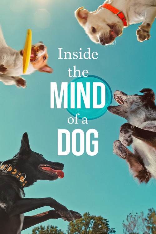 Inside the Mind of a Dog Poster