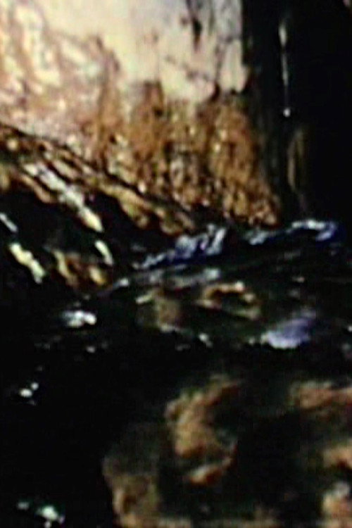 Variations on a Theme Poster