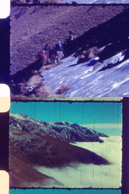 Escalada al Famatina Poster