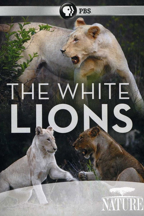 The White Lions Poster