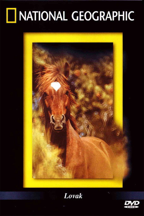 The Noble Horse Poster