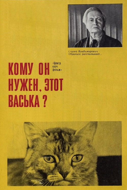 Who Needs This Vaska Anyway! Poster