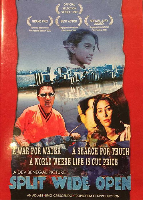 Split Wide Open Poster