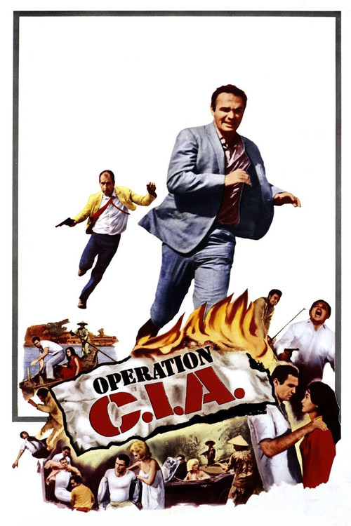Operation C.I.A. Poster