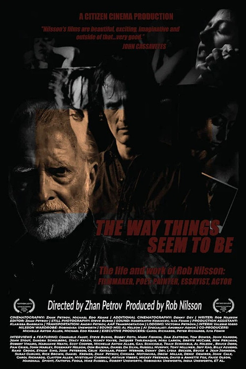 The Way Things Seem to Be Poster