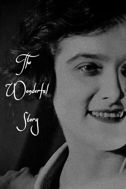 The Wonderful Story Poster