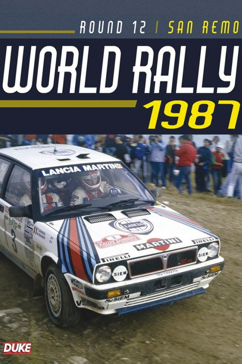 Rallye Sanremo 1987 Poster